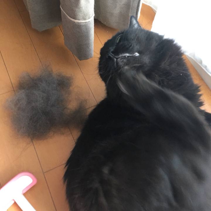 49510eef 8e6e 45dd 8172 2a50ceba694f 1537442623288