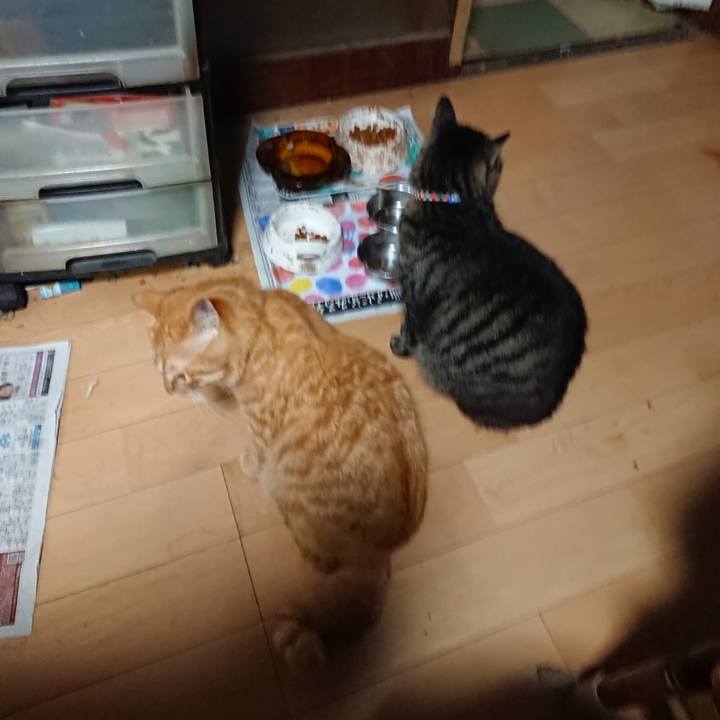 495111e4 d0d3 46d7 ae5d 872ea973098b 1658480488847