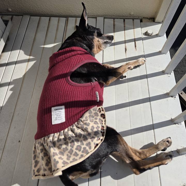 49514b04 e702 48ef 9312 f3f007fa91b9 1763265394006