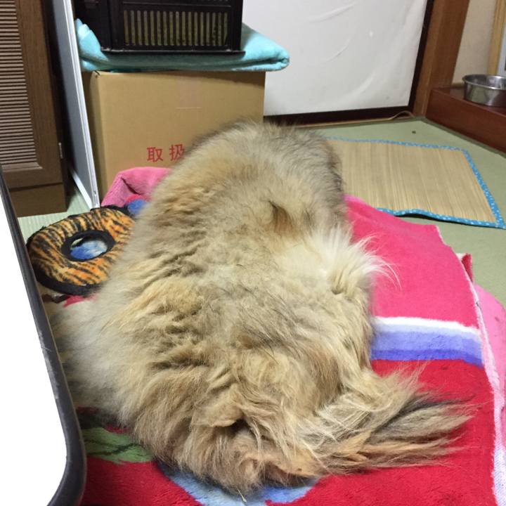 49515804 6495 449b 8902 f708f156e893 1615760066176