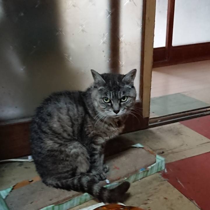 4951824e 5609 44c6 b59a d78236bec19b 1569551353774