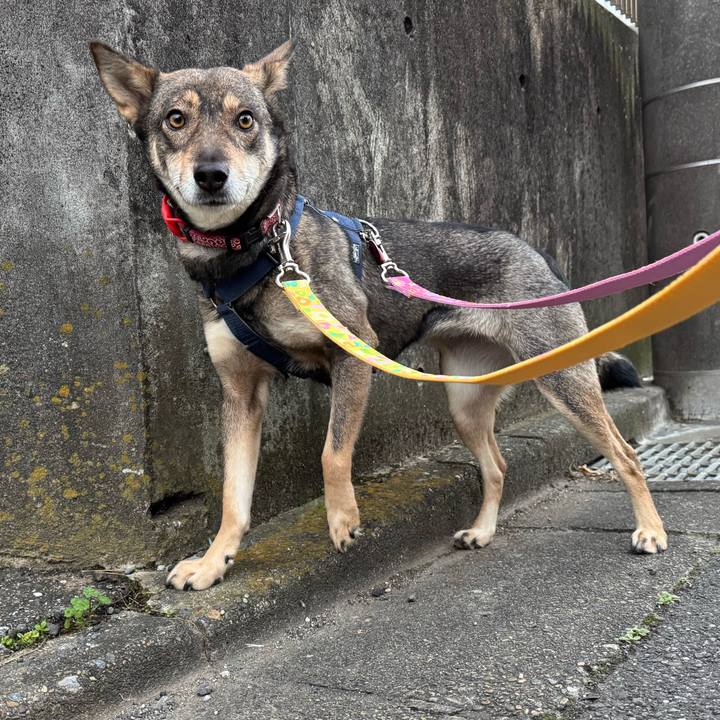 4951db08 eaff 46e2 a767 402009185805 1766103419395