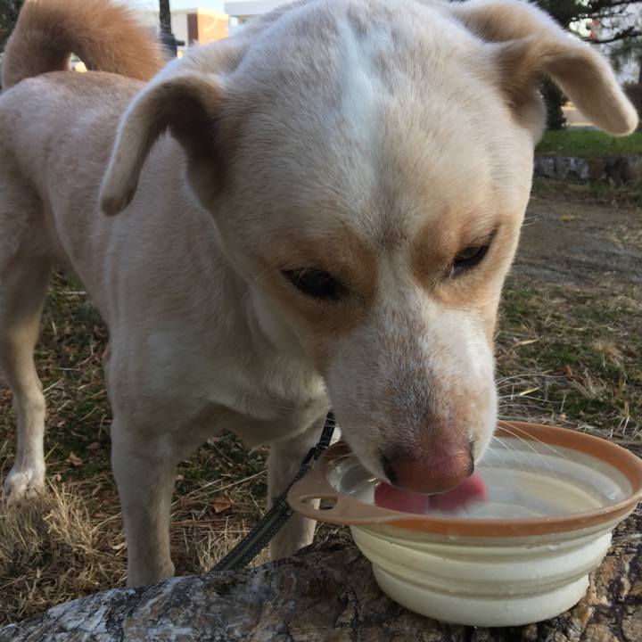 495217f8 8a04 4816 acd6 518155d5a07d 1516491843807