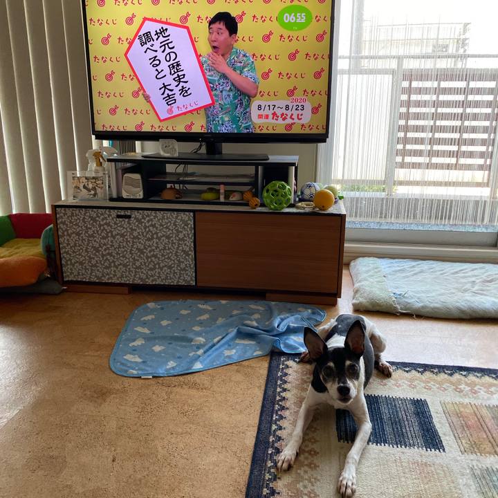 495224f9 0bbd 46cb 95c1 46633636f3dd 1597615805708