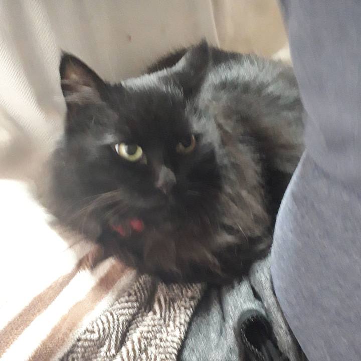 49522f3c 2c7e 4495 8b54 35d63b90b2f6 1523224334562