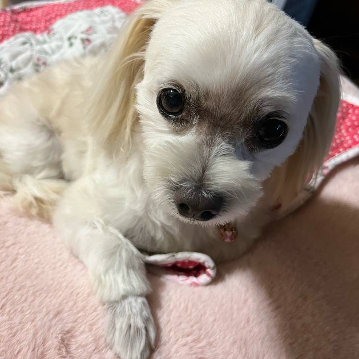 495238ca 8101 4ad9 a032 f013b0ee89b0 1697099558290