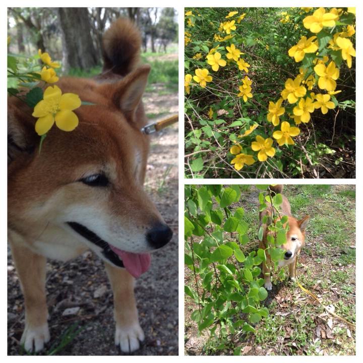 495238e8 8d01 4508 81ec cb124c2b08c7 1522818490585