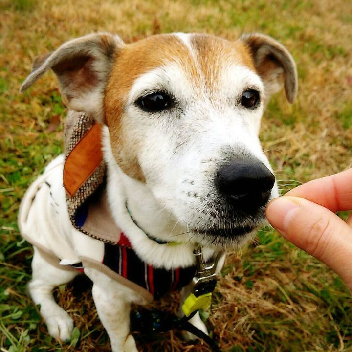 4952a338 77ee 4a22 94fd c00836607bb9 1514071626812