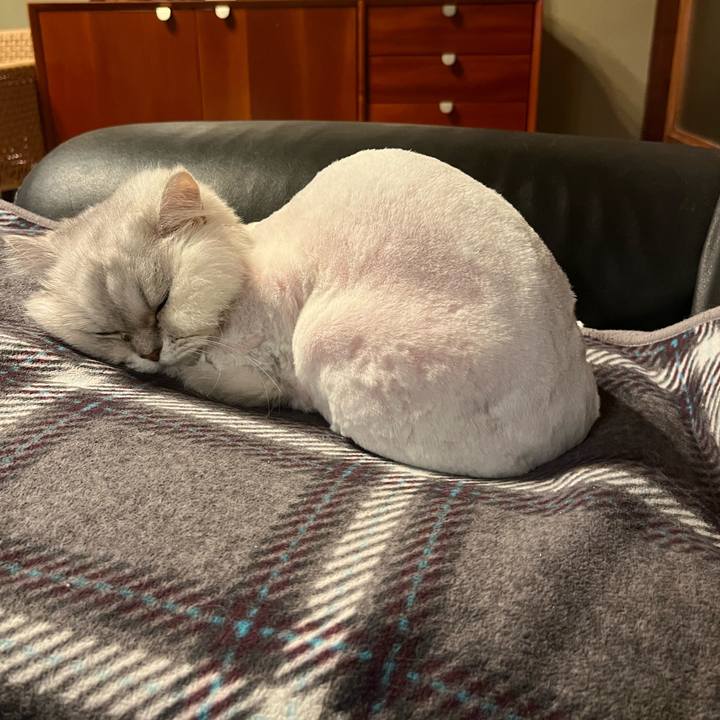 4952b01e 4cc0 4975 8905 e9983dca7a2e 1714620878250