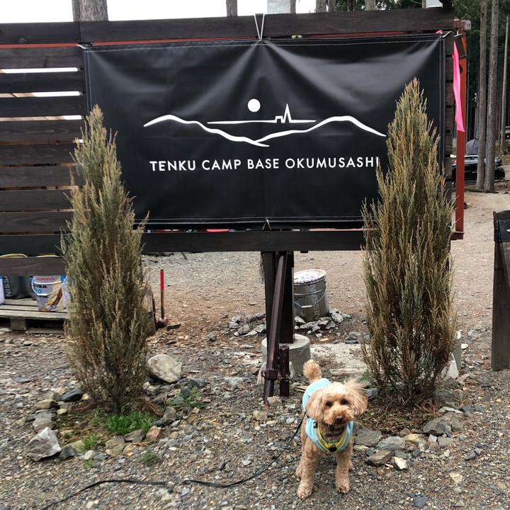 4952c983 28e5 4988 b48c 27a52a747b9a 1777277155090