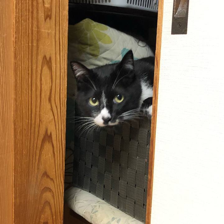 4952dcdf ff52 40d5 9327 c6871ca170f5 1562730100290