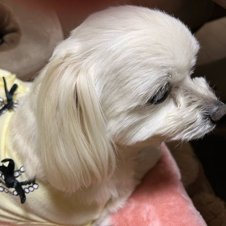 49530169 9ba3 4d8e bfe2 c1872144b649 1681910283370