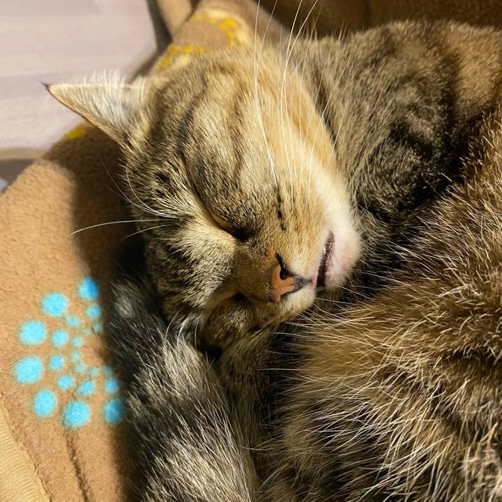 49532c0e 1d79 40f1 8cd4 38fbf6e0cf37 1612718345617