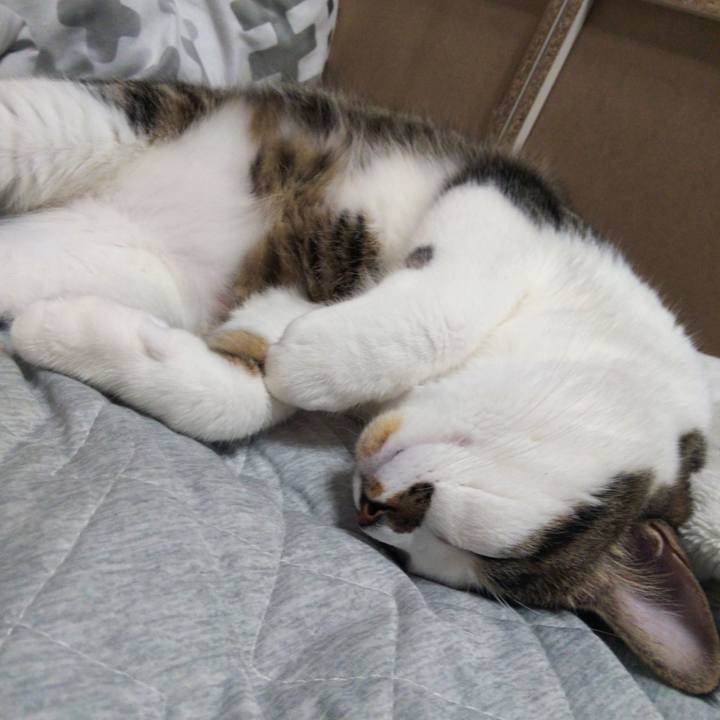 49533ecb 173e 424a 9b28 8cb9a52dc559 1630216507499