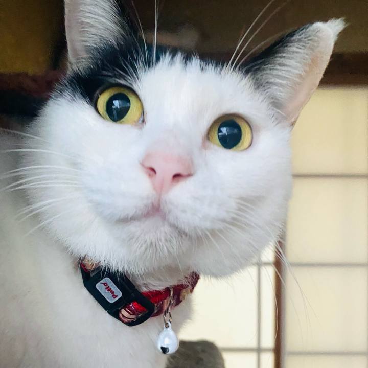 49537963 354f 4ad5 8e5c 2e8285dd542d 1669241745787