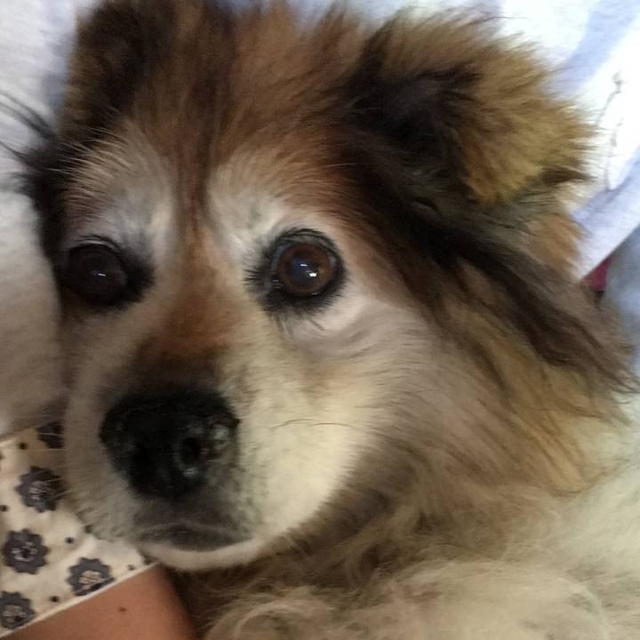 4953913e c513 4f80 8a77 e36991e73a3f 1564639032787