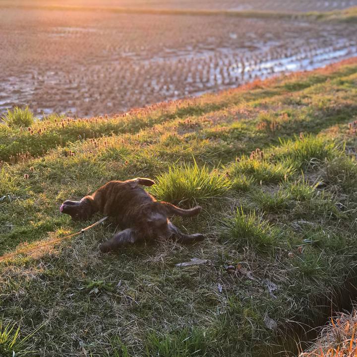 4953e1a0 e9cd 44db 9f60 6c6d9c332d98 1553335036105