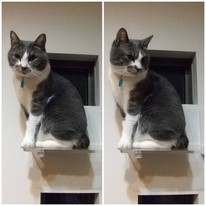 4954162f ffc3 4717 aaae c453582bbe7d 1645362223842