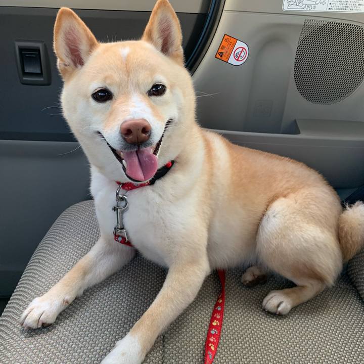 49541ec0 e4f0 4890 bb33 47532736d520 1646552545762