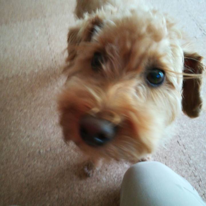 495462c2 f2a9 41ae 850f 1f6d738f87c8 1529535754907