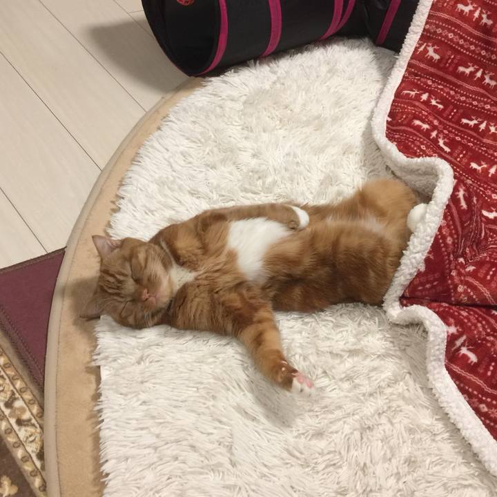 49548359 1da4 4fd3 a140 f1808b3a9904 1549888447059