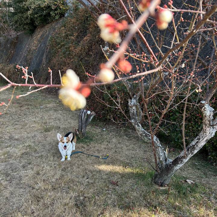 495491b0 6466 4753 b3f6 04f29230991b 1768707412727