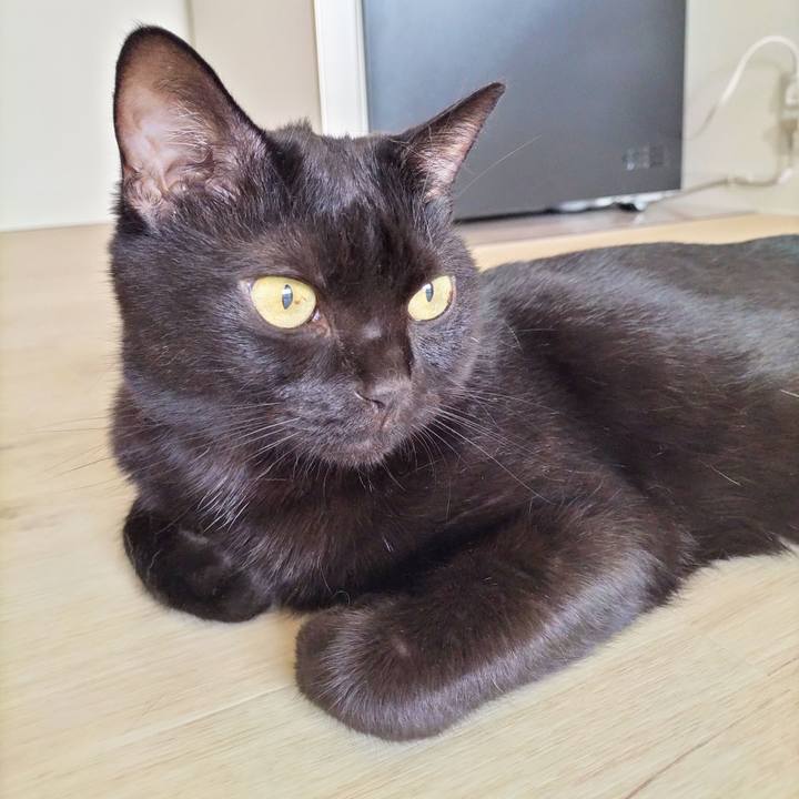 49549fab 2b6a 4c67 a57c a28ac09a592a 1692570386929