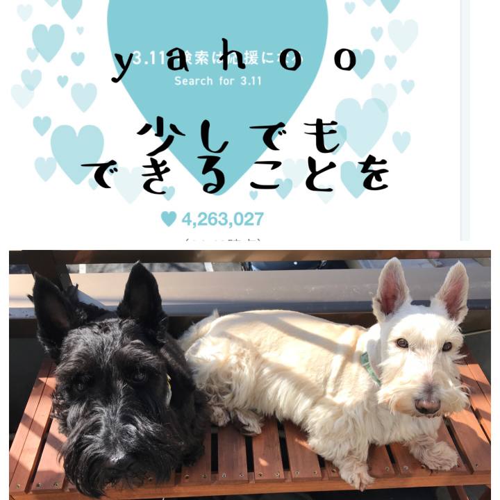 4954c4f2 a97f 44dc 8c55 d43ecc754d25 1583906338654