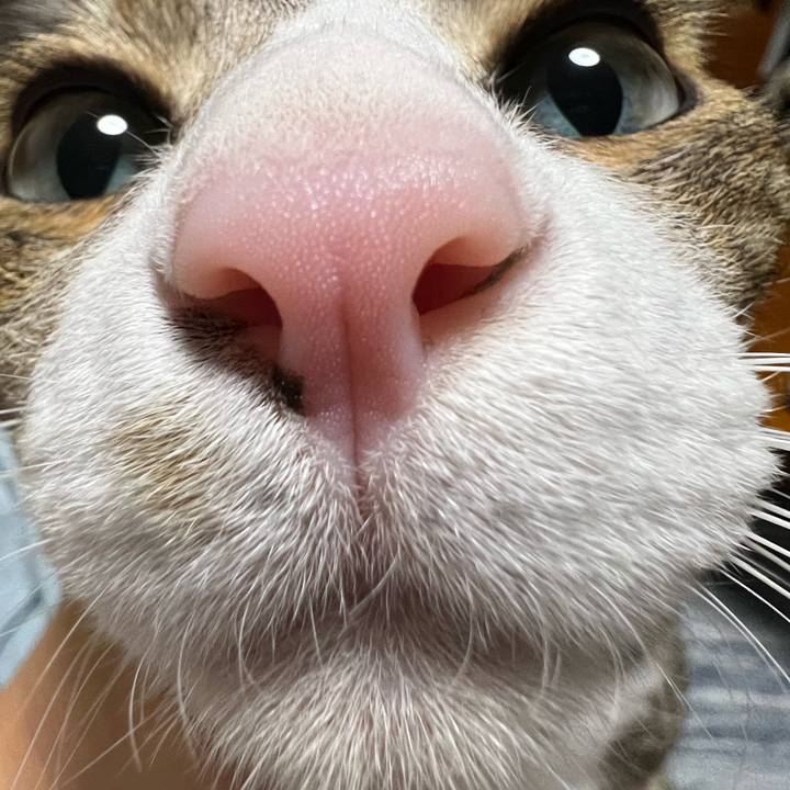 4954d5e1 6dbd 46d1 9325 ccc14a539f78 1758367138042