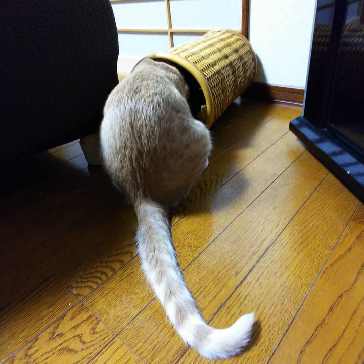 4954e119 a8c7 40c5 a3a5 d229f31ed5eb 1550840263536