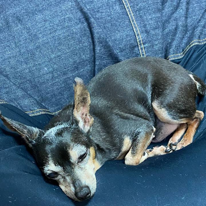 49550675 a442 49ef a8c4 eab6c7e301e7 1594214489810