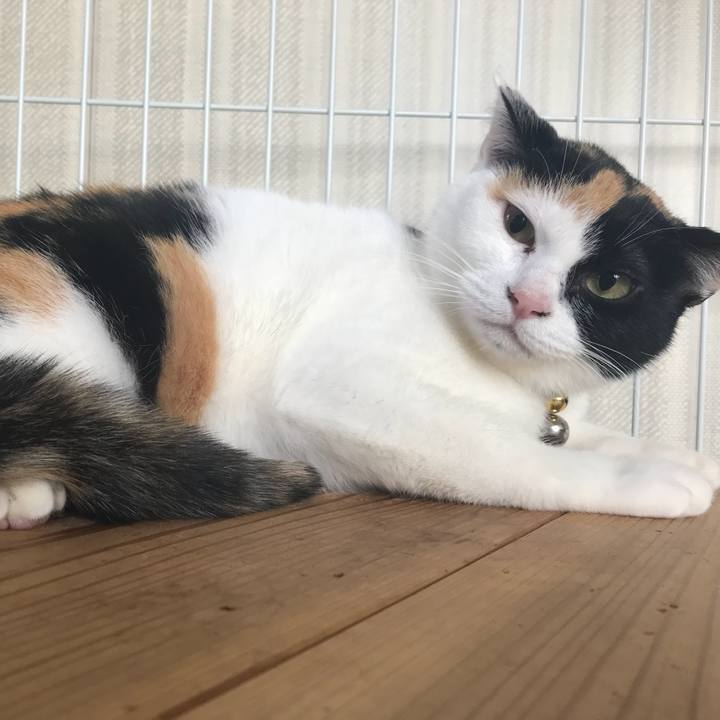 49554701 802b 435c 9465 9d63802bcf48 1521108343498