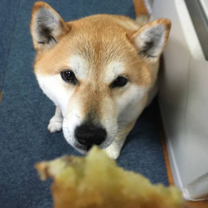 49556219 d683 42ed 8410 652649ec8a7b 1583926662030