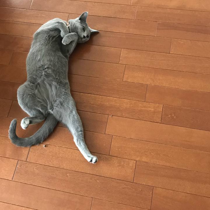 4955d86a 3b83 4604 a272 3e702edf7050 1530350071435