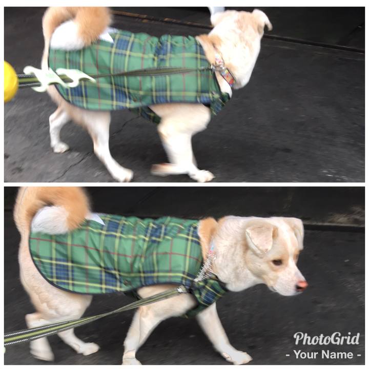 4955f8ca 4d7c 4abc b234 cc1082f24380 1508384711788