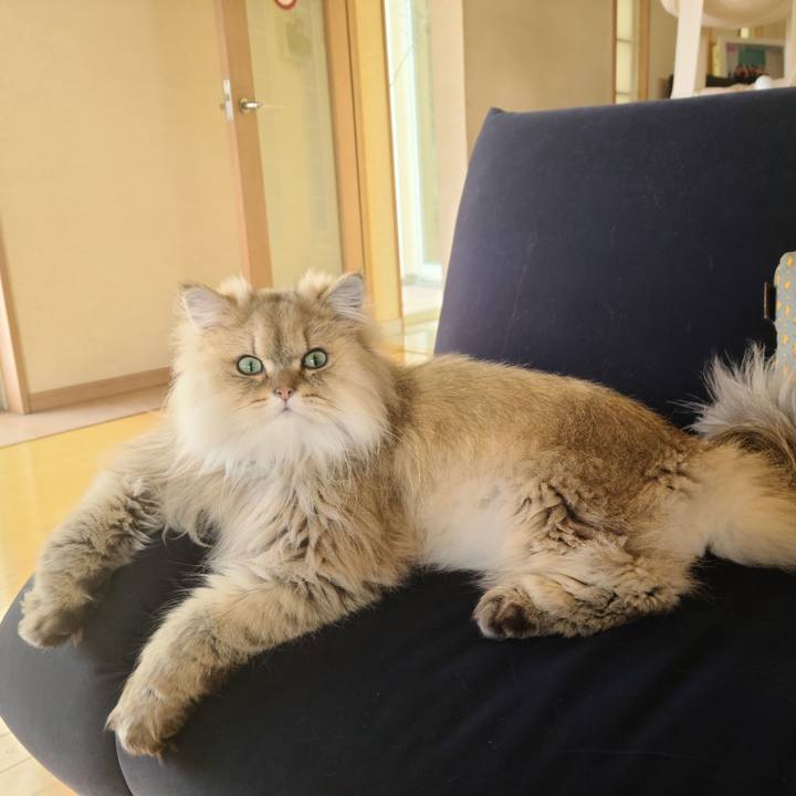 49561491 b4dc 41f6 90c1 0fa8d5822201 1617144377652