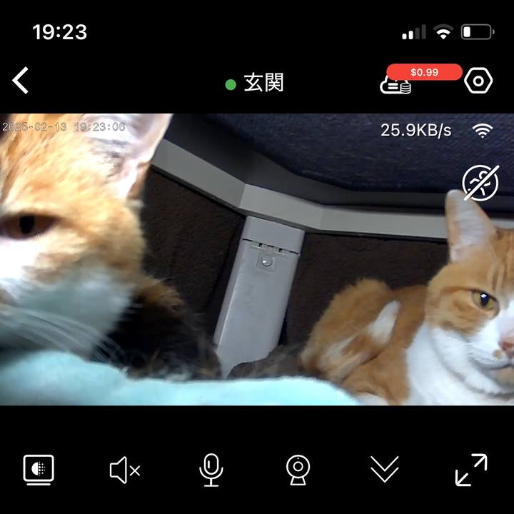 4956695c 90a8 44f7 8a58 7807a222d3c1 1739442260359