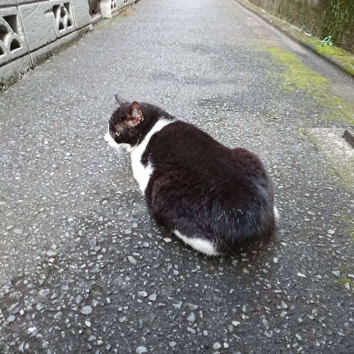 495722ba 25ec 4430 be4c 43ad08bf8ba6 1629966503543