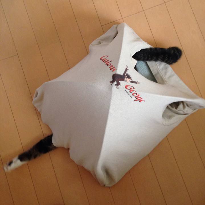 495731c9 3f97 4717 b870 69c4866c7d89 1513566309685