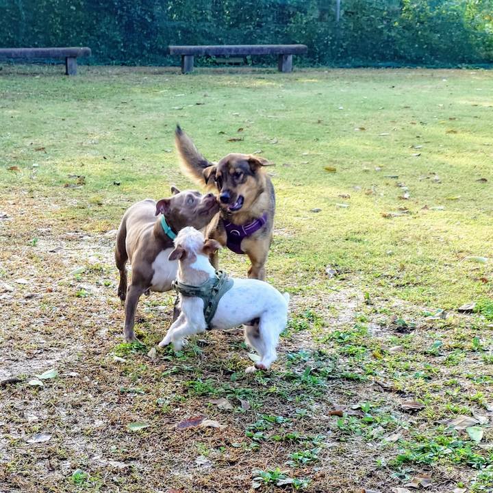 49574e8a 3d2f 4575 b62b 42dd0c41d7d7 1730594295271