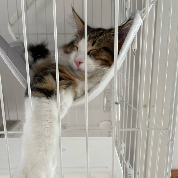 49575850 4db0 49ff afcc ccc13004451e 1638061639169