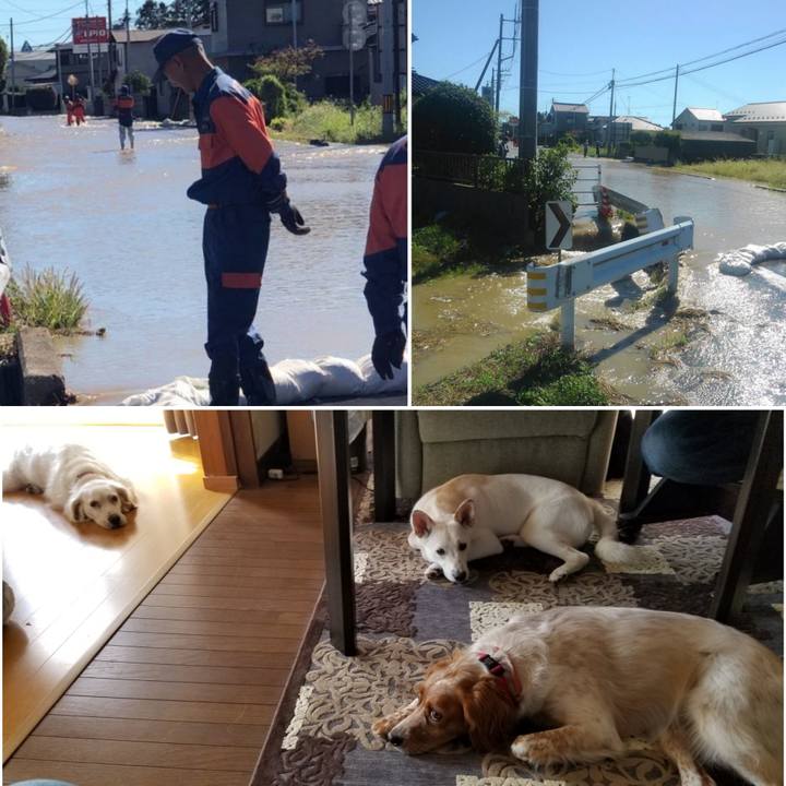 4957a697 b0c9 4efb bf47 1c0a560c491f 1570933161694