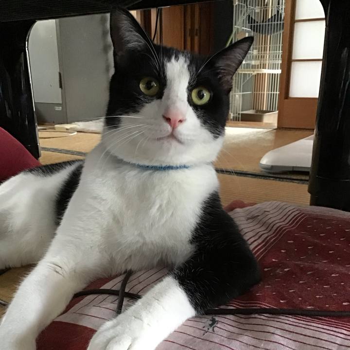 4957b189 257d 4261 84c6 9cdc0096d2e7 1659781426216