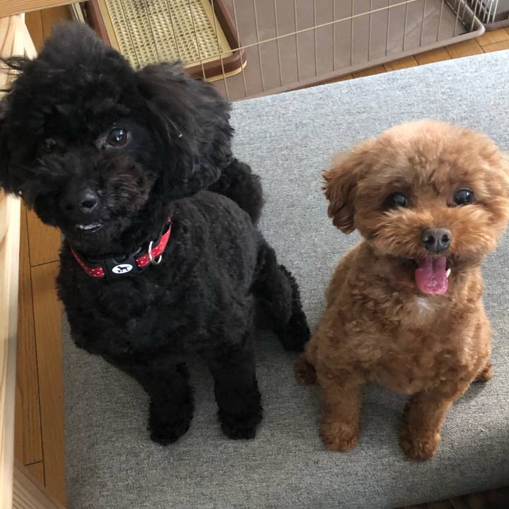 4957c4e1 2463 4599 9199 1742a4426336 1586299054380