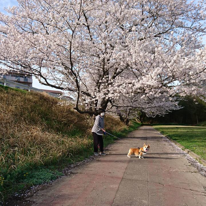 4957da35 7317 4d3d 89d3 bf3d85350e58 1681197527548