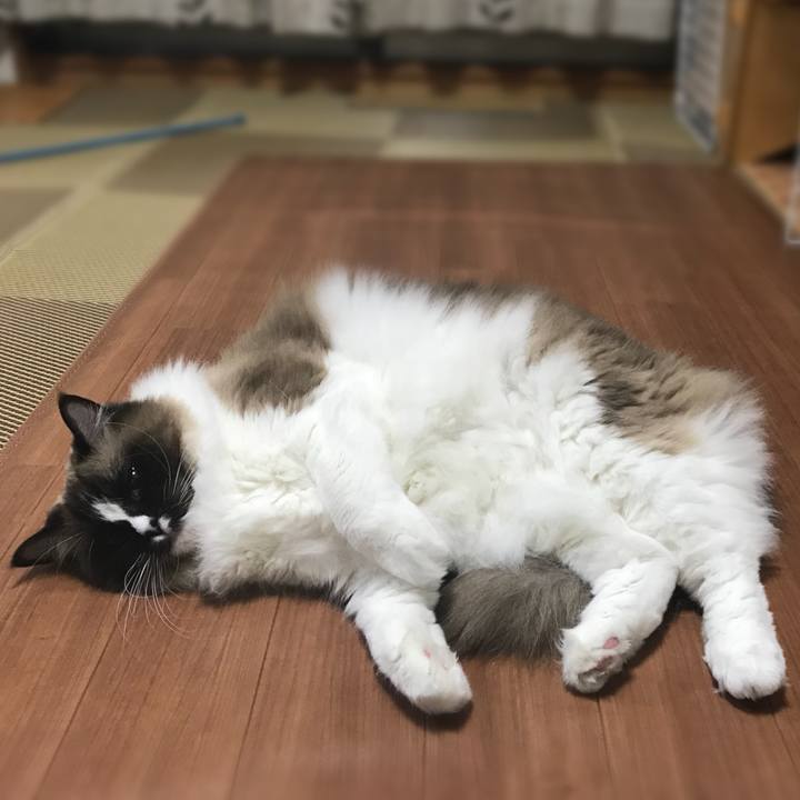 495814e2 825f 4a9f b81c 5ac2314a0d31 1519475091064