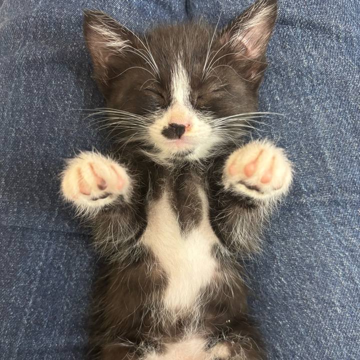 49583b98 0c77 46c0 a4e0 c36cfbf86fad 1767007382917