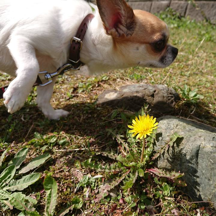 4958886a f076 4af4 98fb d5a4681ad157 1616493993464