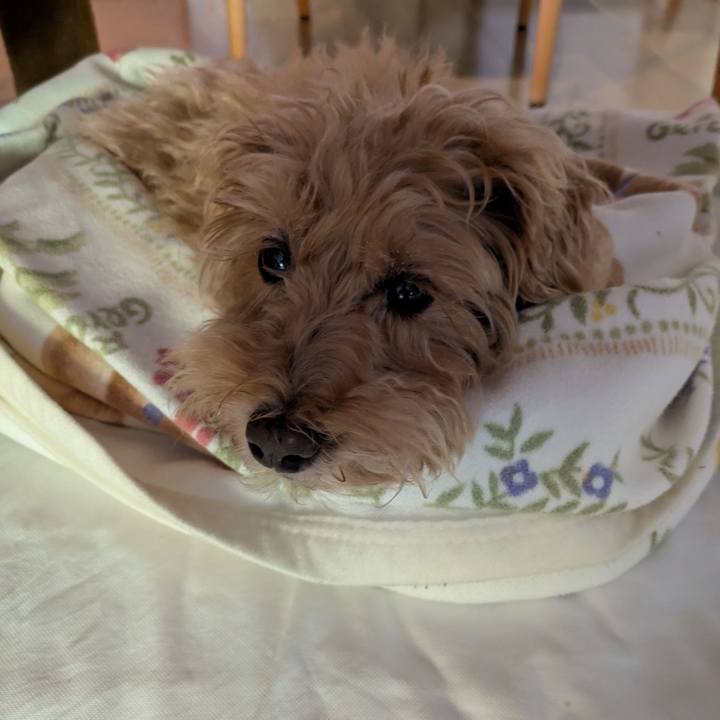 49589c0d b599 4317 b570 4d3240c80a5e 1761001290392