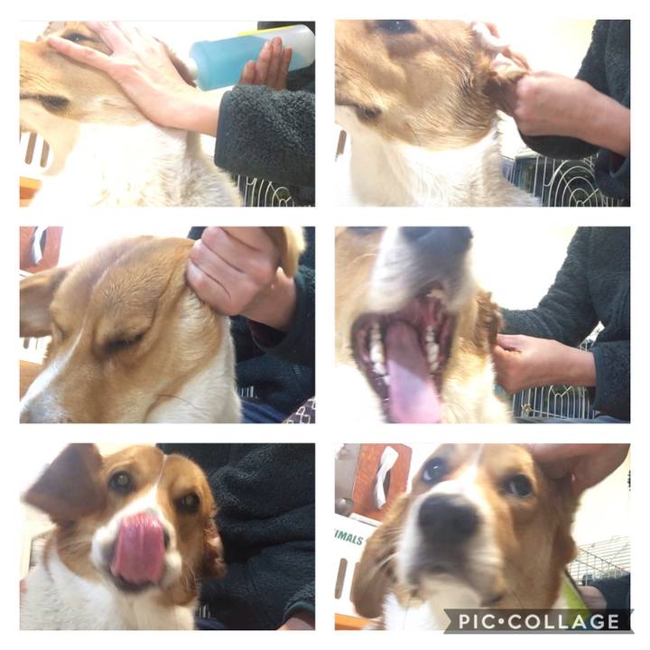 4958bbff 4c01 40d9 8f57 a7eef25eab80 1611475946195